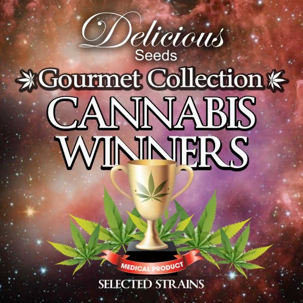 CANNABIS WINNERS 1 DELICIOUS
