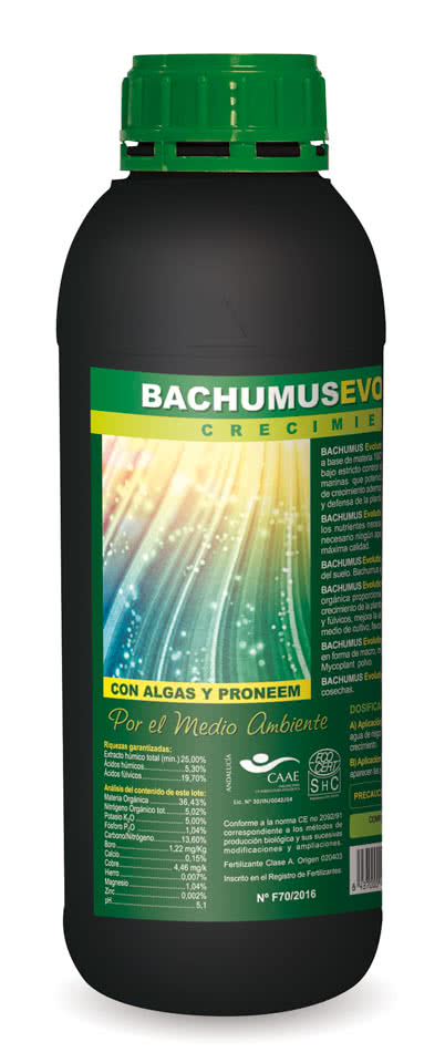 BACHUMUS EVOLUTION-C 20 L TRABE