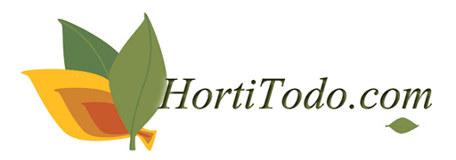 HortitodoShop