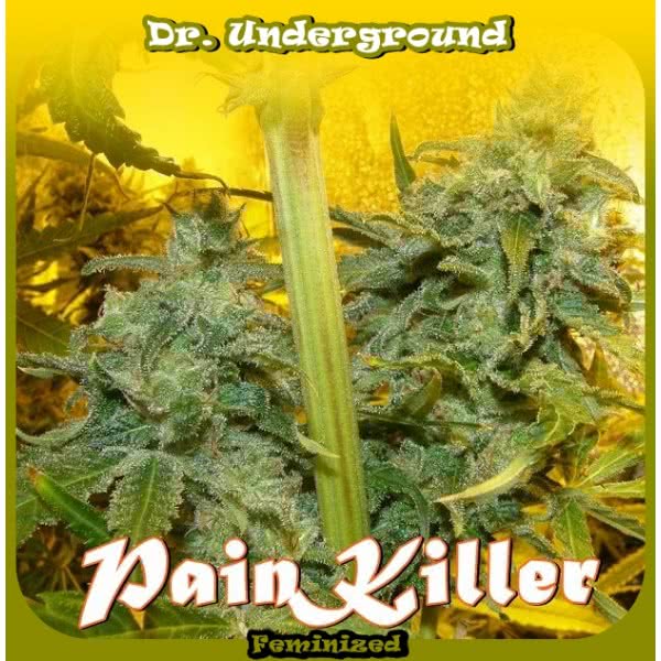 PAINKILLER (4) 100% DR UNDERGROUND