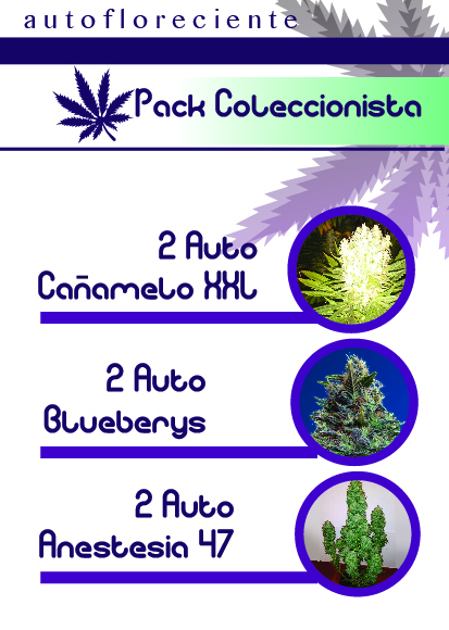 PACK COLECCION AUTO MOON GENETIC
