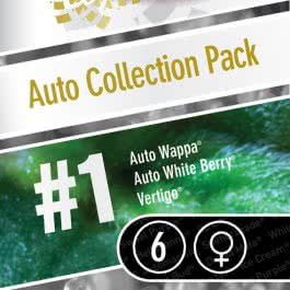 AUTO COLLECTION PACK #1 100% PARADISE