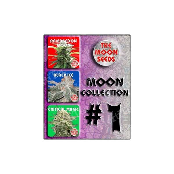MOON COLLECTION 1 THE MOON SEEDS