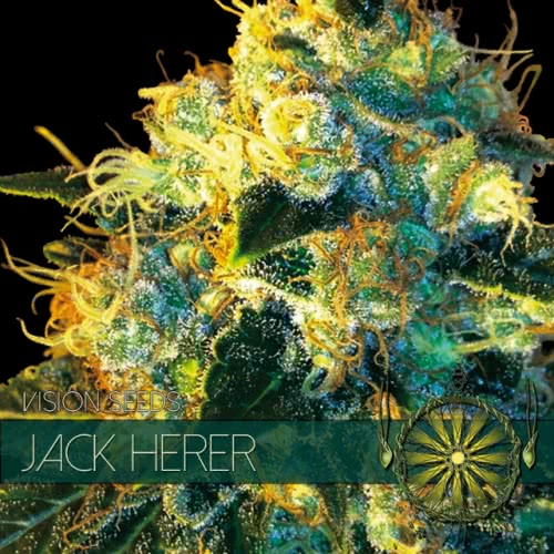 JACK HERRER (5) 100% VISION SEEDS