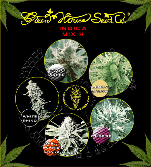 MIX H INDICA (5) 100% GREEN HOUSE