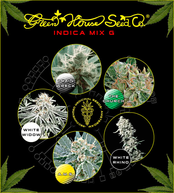 MIX G INDICA (10) 100% GREEN HOUSE