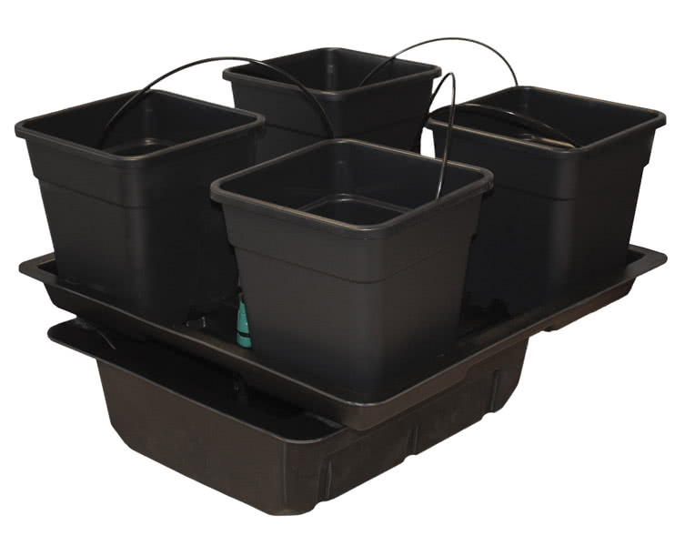 SISTEMA WILMA LARGE  (4 X 18 L POTS) NUTRICULTURE