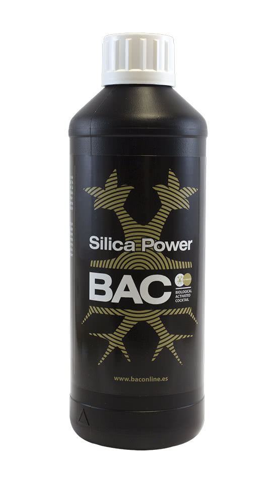 SILICA POWER 500 ML BAC