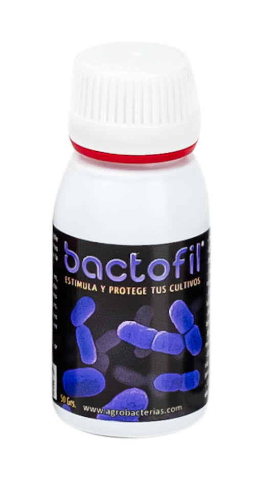 BACTOFIL 50 G