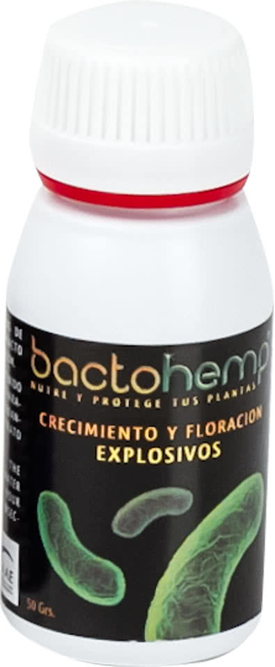 BACTOHEMP 10 G